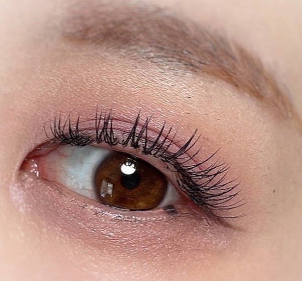 maki on LIPS 「今日のメイク💄✨SNIDELの石井美保さんコラボEX02を使っ..」(2枚目)