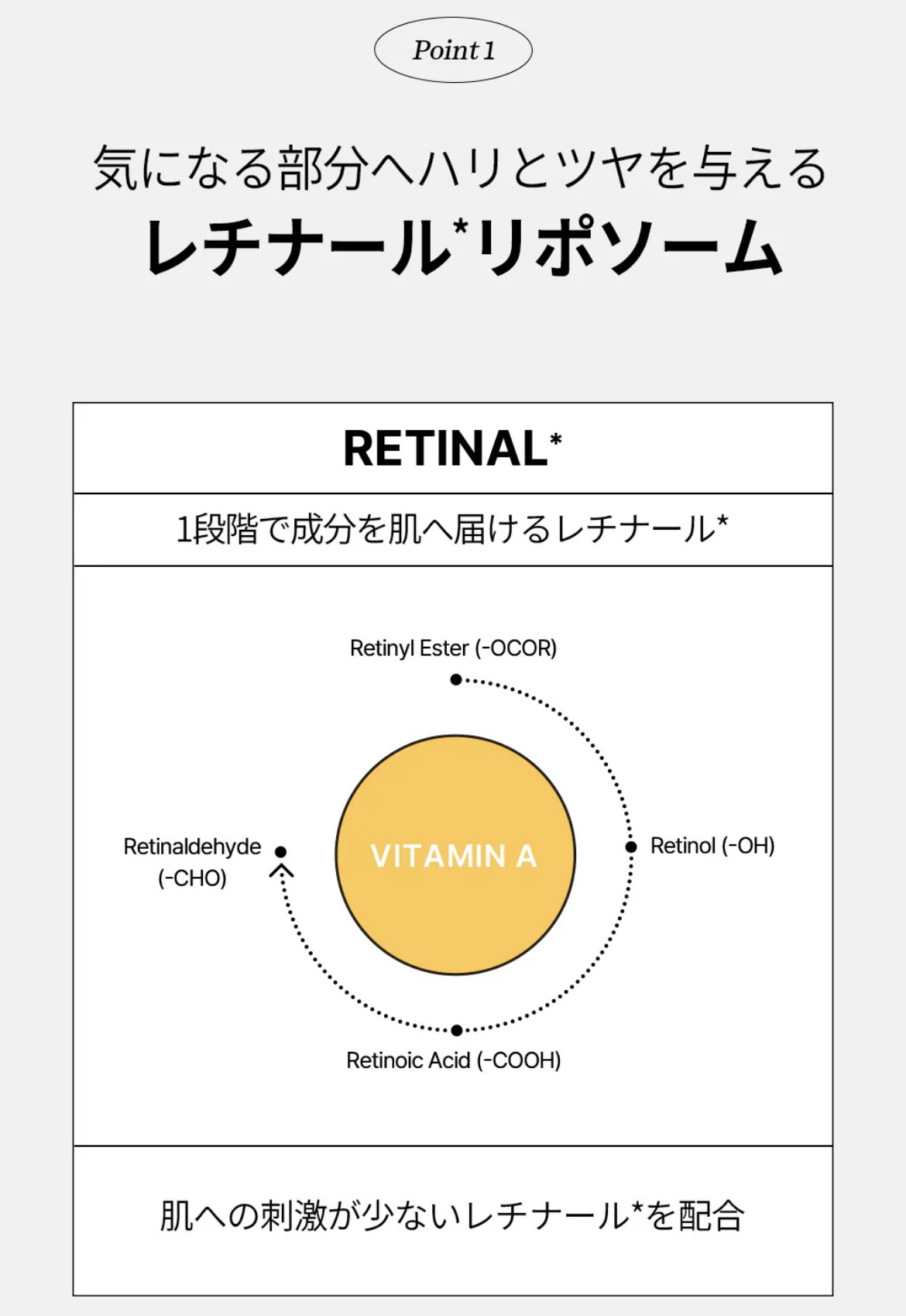 高麗人参アイクリーム/Beauty of Joseon/アイケア・アイクリームを使ったクチコミ（3枚目）