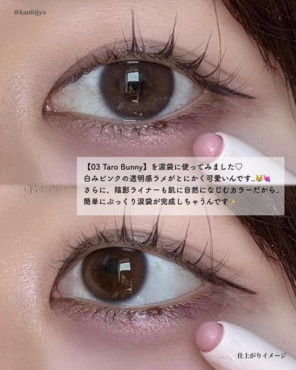 カラープレイデュアルライナー/2aN/スティックアイシャドウを使ったクチコミ(6枚目)