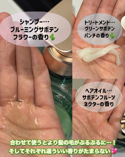 サボンドサボタ モイストプランプシャンプー/ヘアトリートメント シャンプー本体 420mL/Savon du Savota/シャンプー・コンディショナーの画像