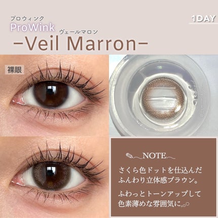 ProWink 1day/ProWink/ワンデー(1DAY)カラコンを使ったクチコミ(5枚目)