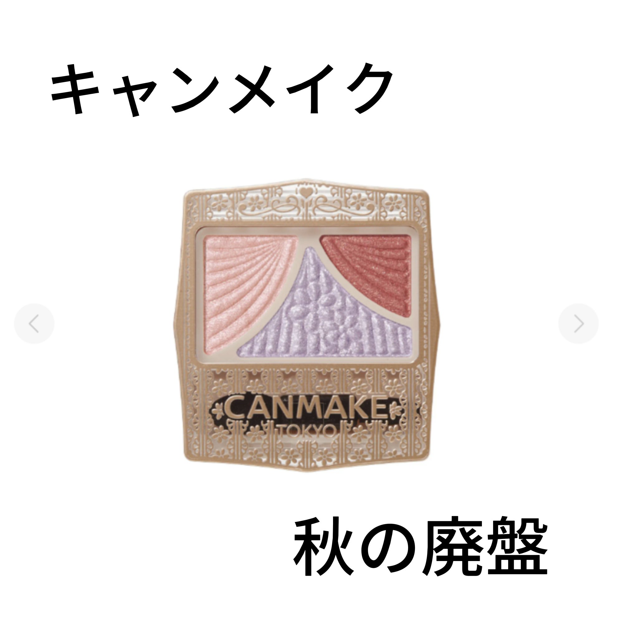 バディーデュオブラシ/キャンメイク/メイクブラシを使ったクチコミ（1枚目）