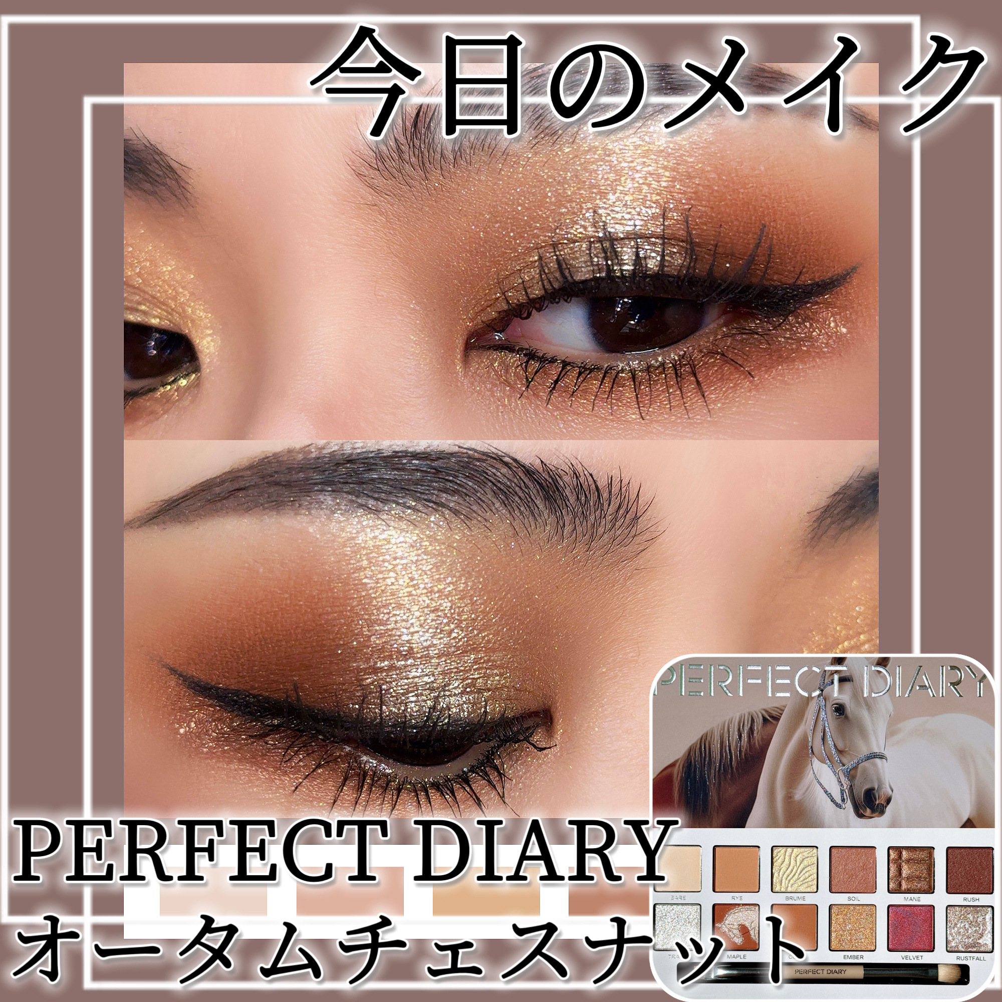エクスプローラ12色 動物アイシャドウパレット オータムチェスナット/PERFECT DIARY/アイシャドウパレットを使ったクチコミ（1枚目）