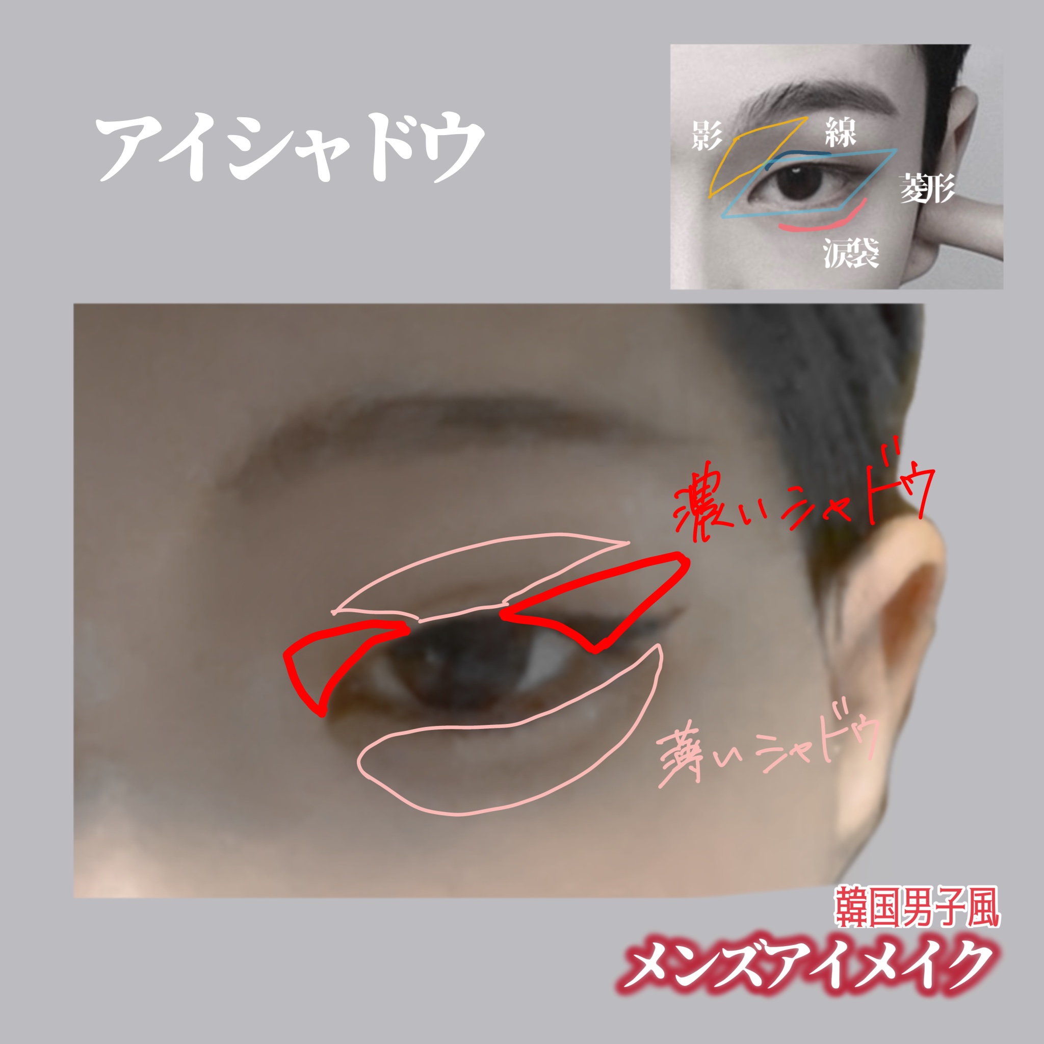 エクスプローラ12色 動物アイシャドウパレット/PERFECT DIARY/アイシャドウパレットを使ったクチコミ（3枚目）