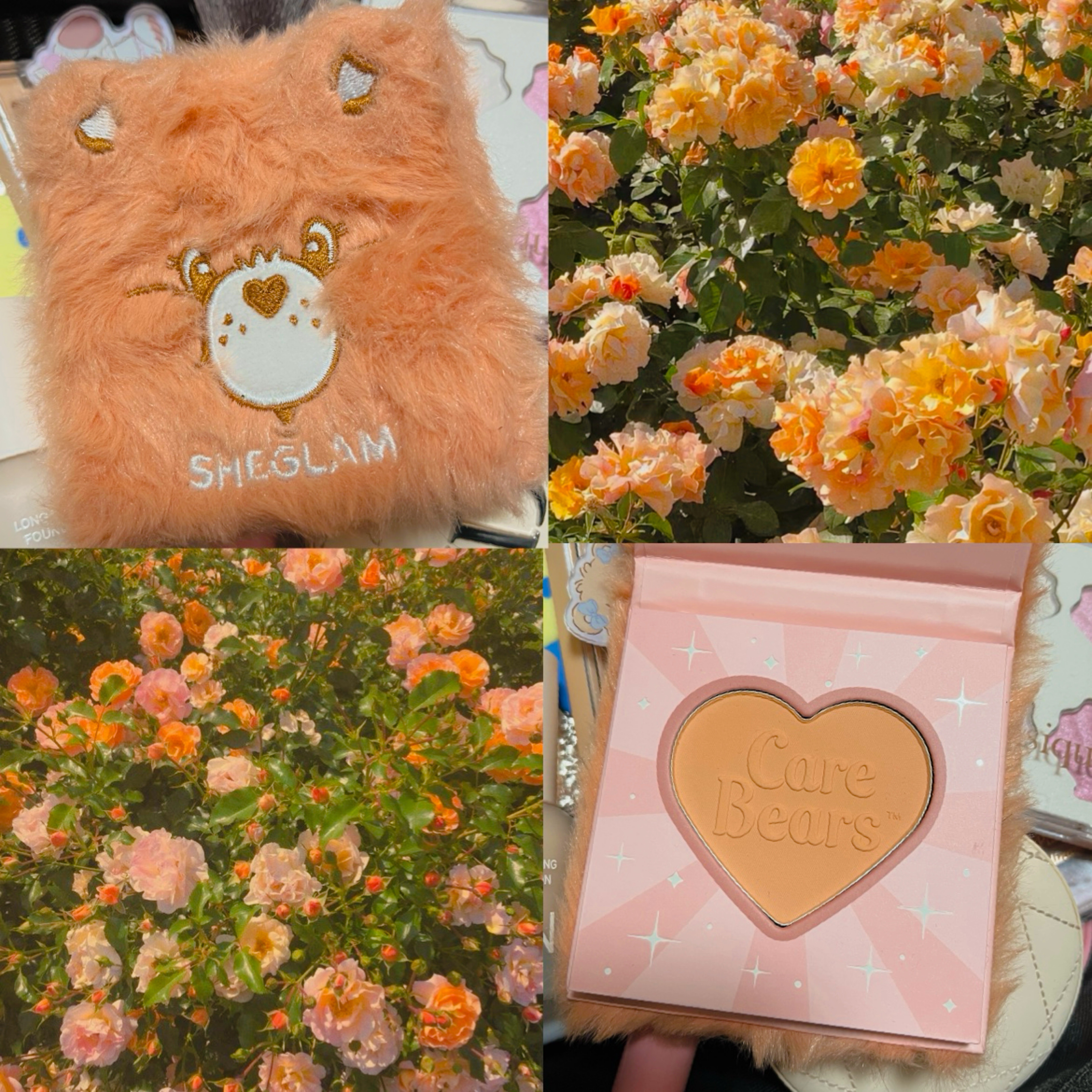 SHEGLAM Cuddle Time Blushのクチコミ「完全なるパケ買い🧡

SHEINで購入したSHEGLAMのオレンジチークです。
発色もよく肌な.....」（1枚目）