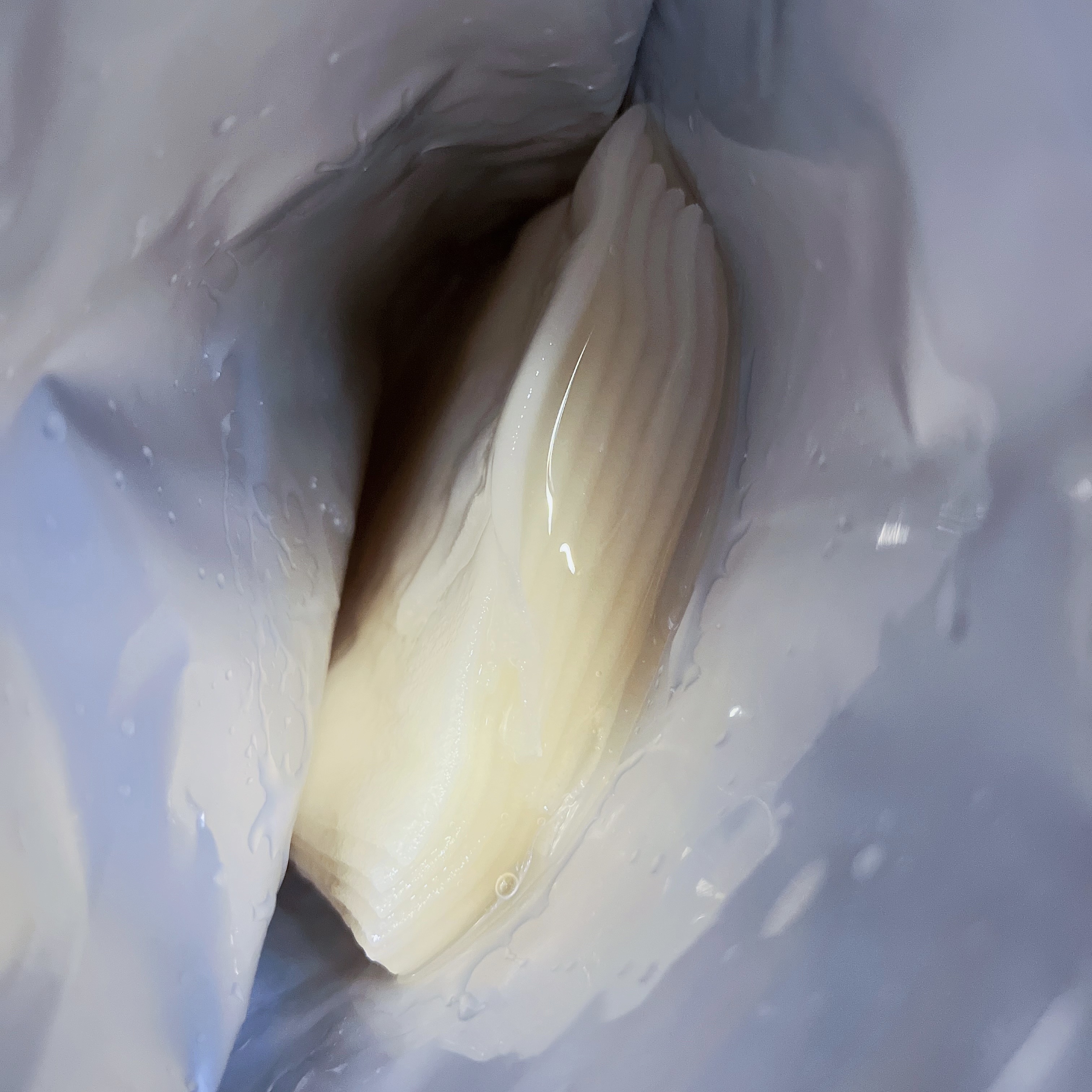 ごめんね素肌　いつのまにマスク/クリアターン/シートマスク・パックを使ったクチコミ（3枚目）