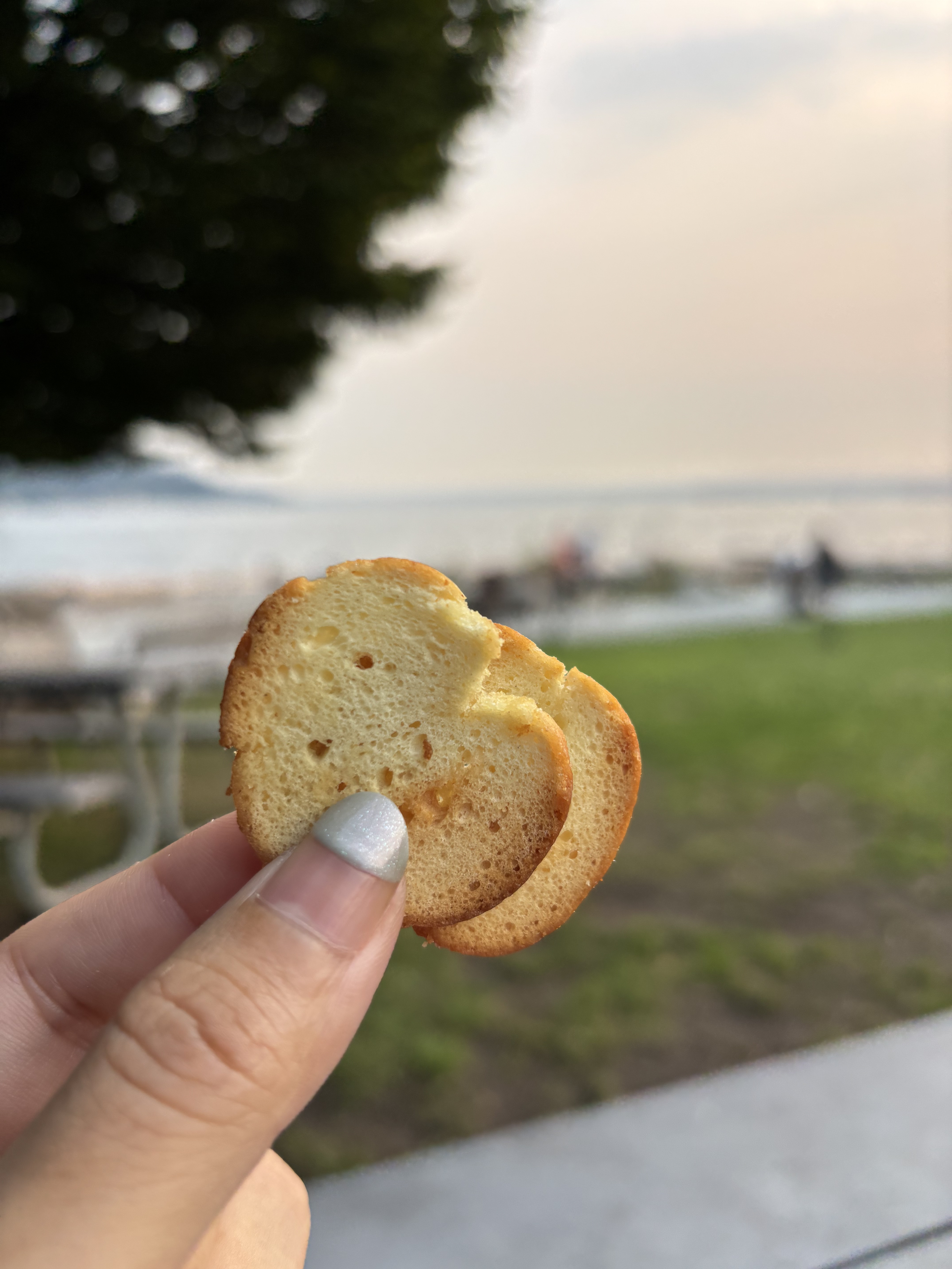 小麦胚芽のクラッカー/森永製菓/食品を使ったクチコミ（2枚目）