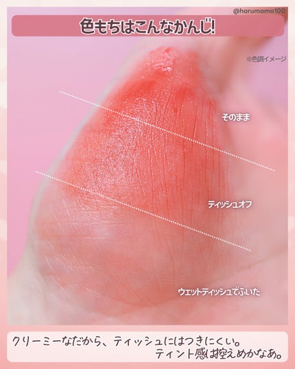 READ ME デニムシリーズ リップティント ピンクベージュ/PERFECT DIARY/リップティントの画像