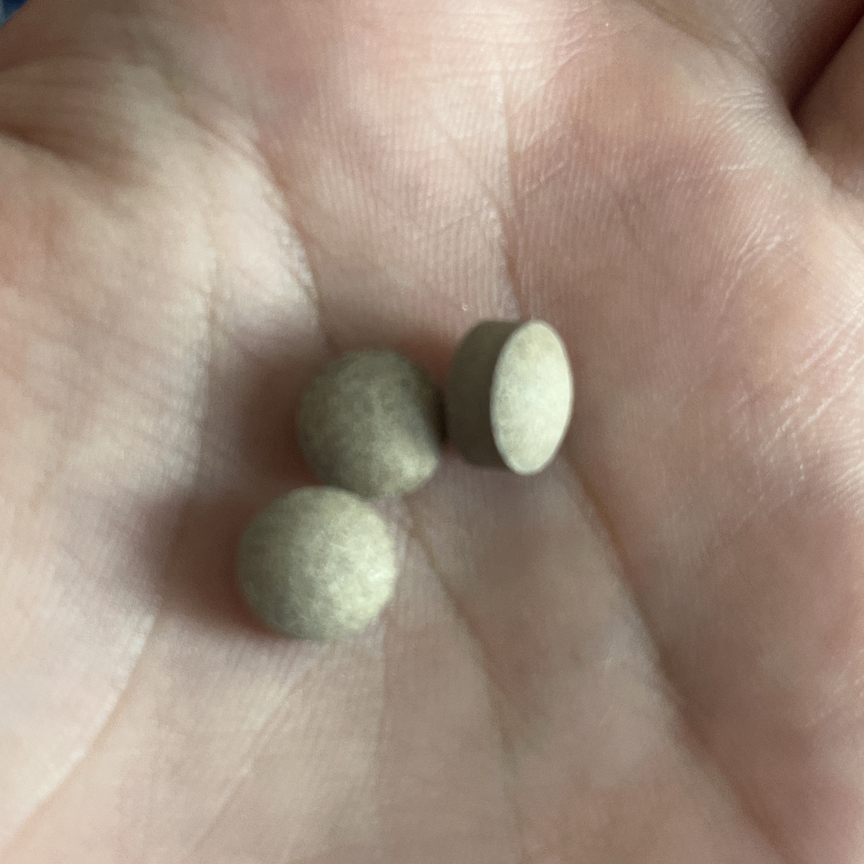 大人のカロリミット 90粒(30回分)/ファンケル/ボディサプリメントを使ったクチコミ（3枚目）