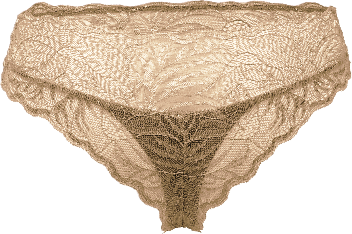 おりもの吸水ショーツelegant シャンパンベージュ（Tバックタイプ）