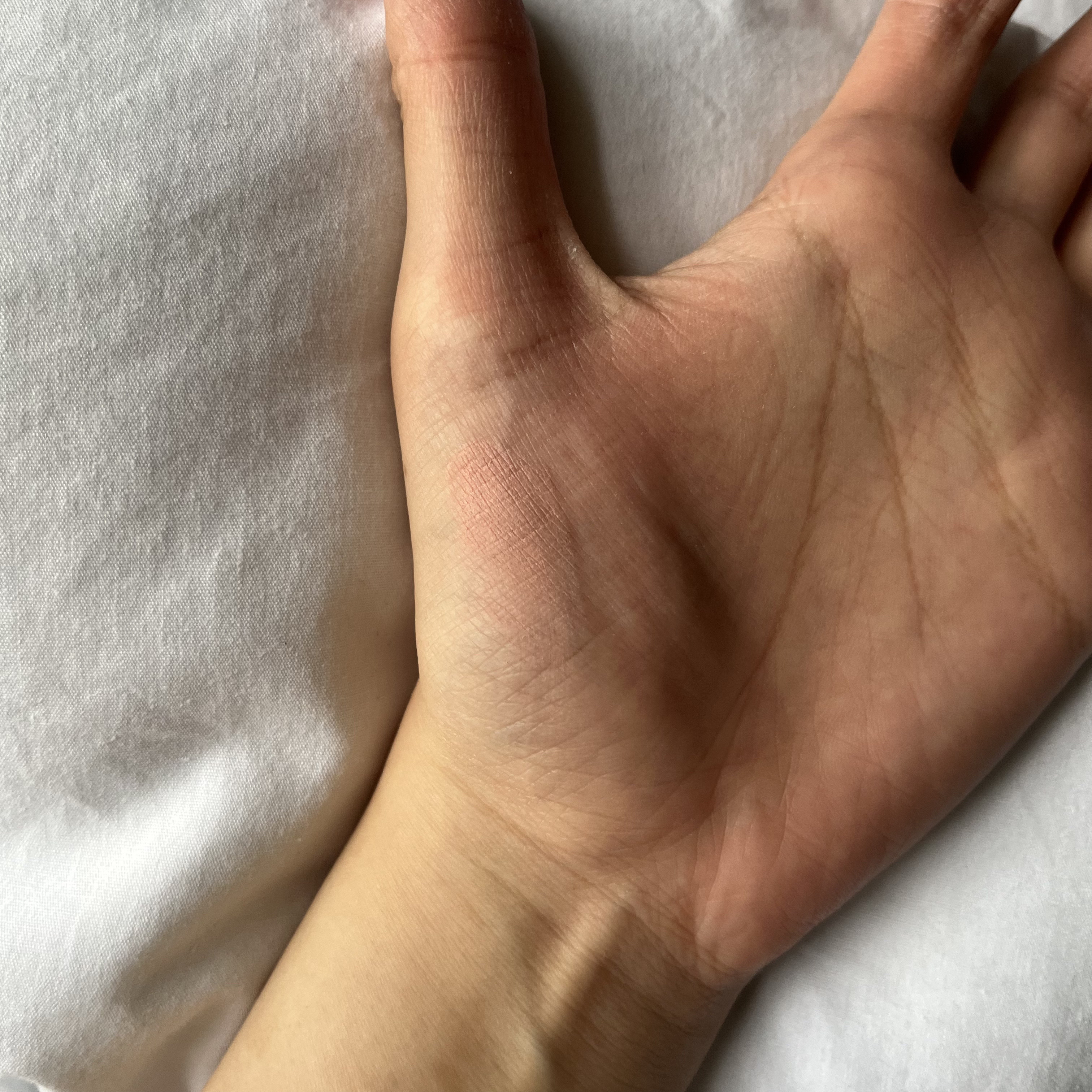 ティンテッドミルククリームブラッシュ /HOLIKA HOLIKA/ジェル・クリームチークを使ったクチコミ（3枚目）