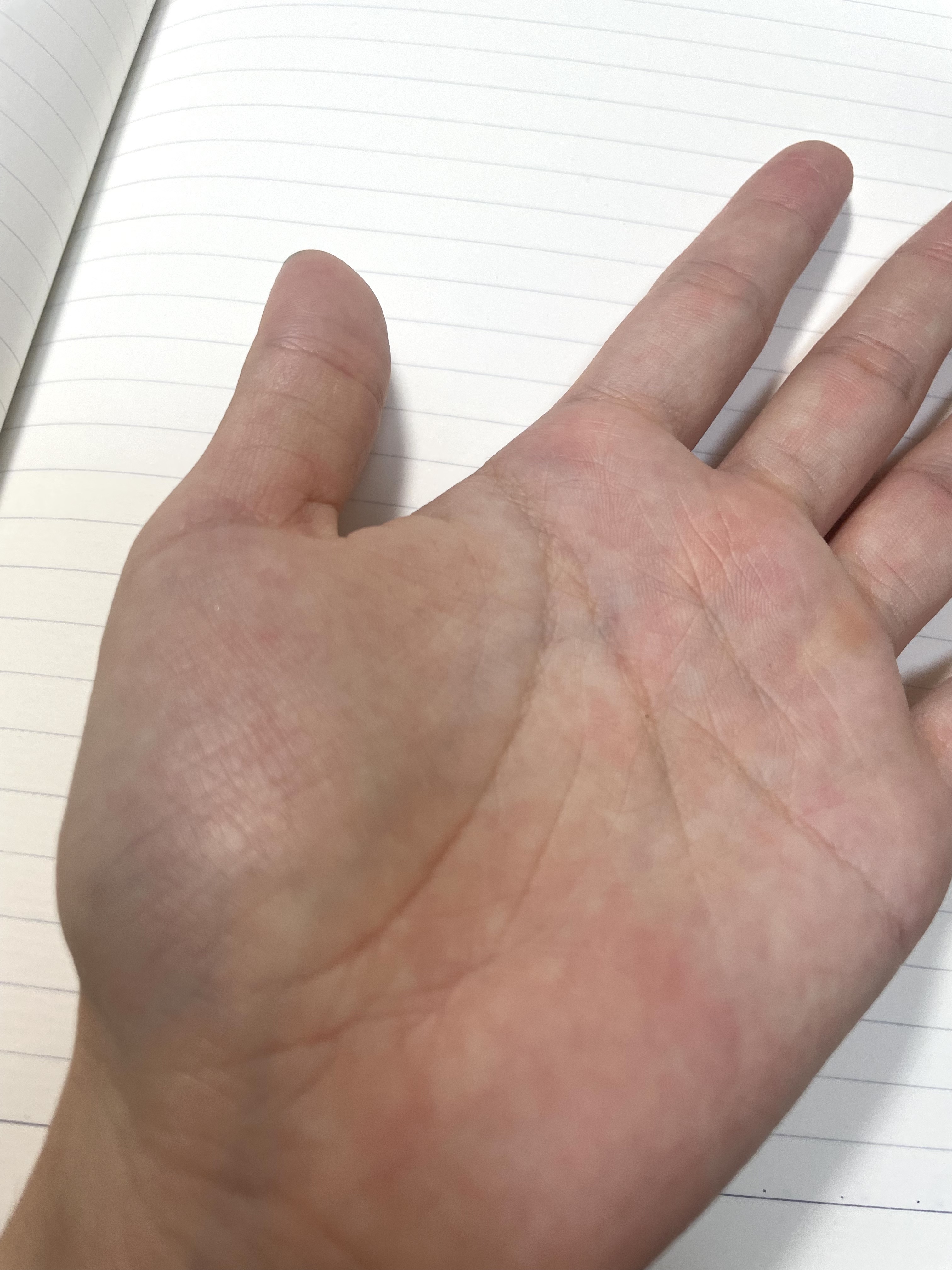 エッセンスルージュS/パラドゥ/口紅を使ったクチコミ（3枚目）