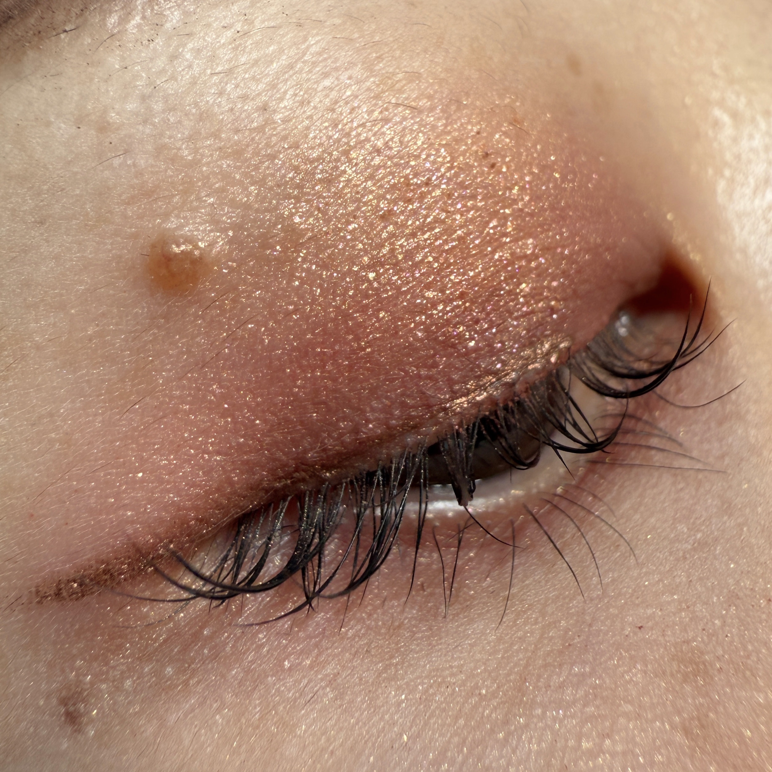 アディクション ザ シングル アイシャドウ ネイキッドシアー/ADDICTION/単色アイシャドウを使ったクチコミ（3枚目）