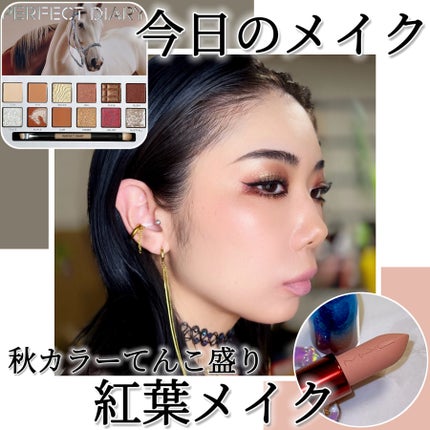 エクスプローラ12色 動物アイシャドウパレット/PERFECT DIARY/アイシャドウパレットを使ったクチコミ(1枚目)