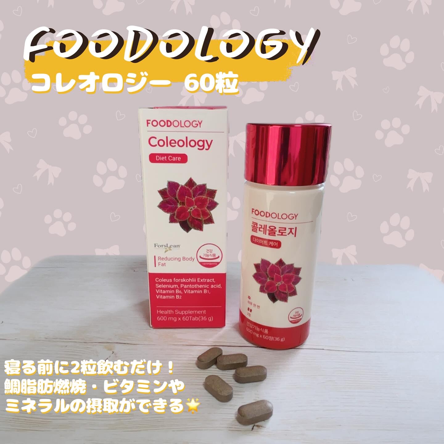 試してみた】コレオロジーティーPRO FOODOLOGYのリアルな口コミ