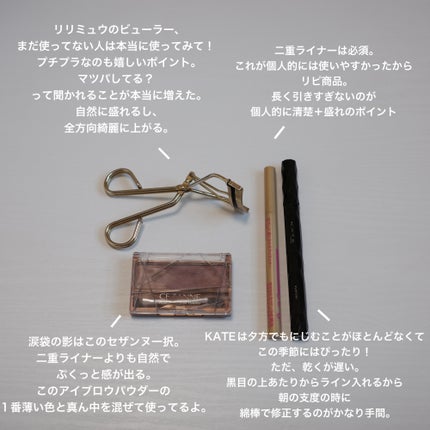 ノーズ&アイブロウパウダー/CEZANNE/パウダーアイブロウを使ったクチコミ(2枚目)