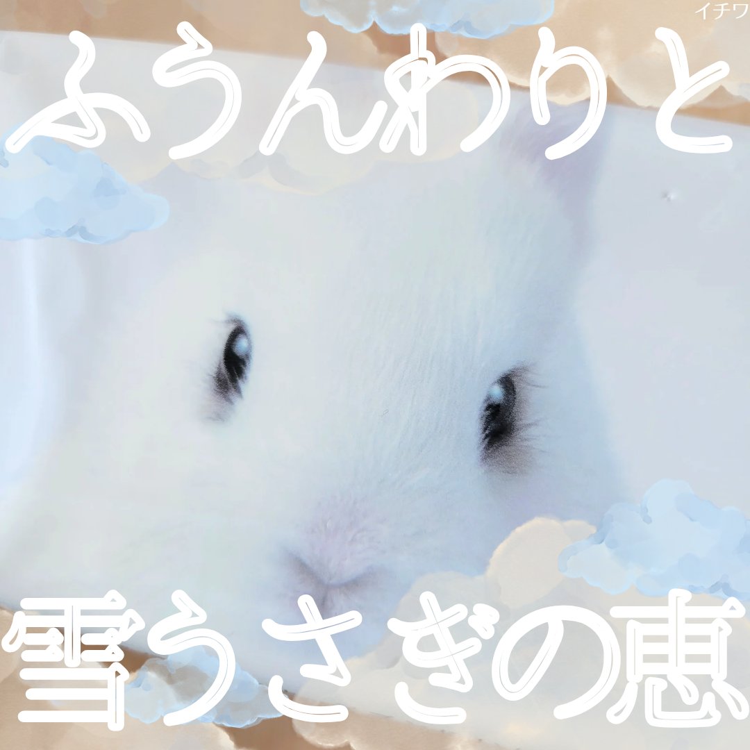 鼻セレブ 洗顔専用/ネピア/クレンジングタオルを使ったクチコミ（1枚目）