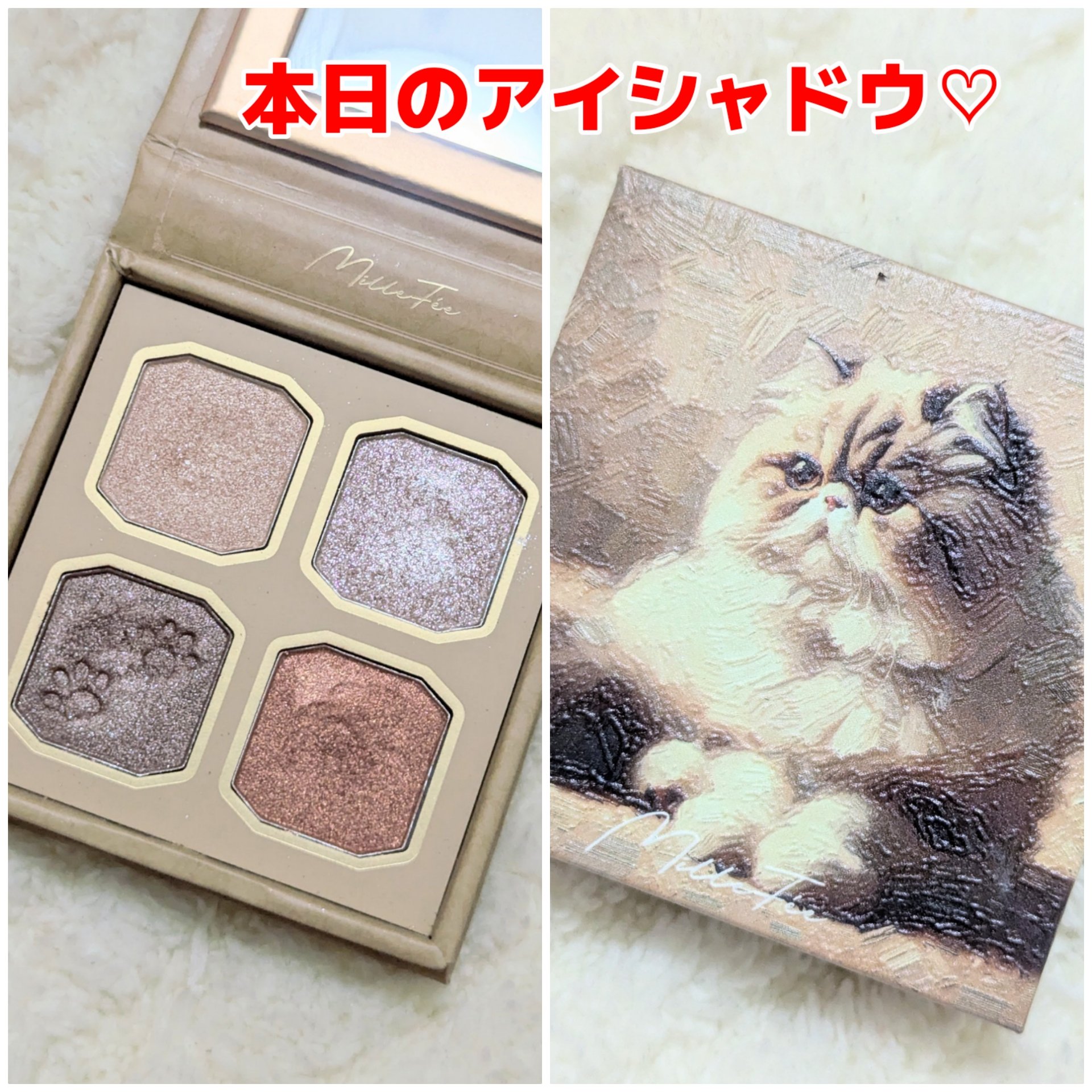 マイキティアイパレット/MilleFée/アイシャドウパレットを使ったクチコミ（1枚目）
