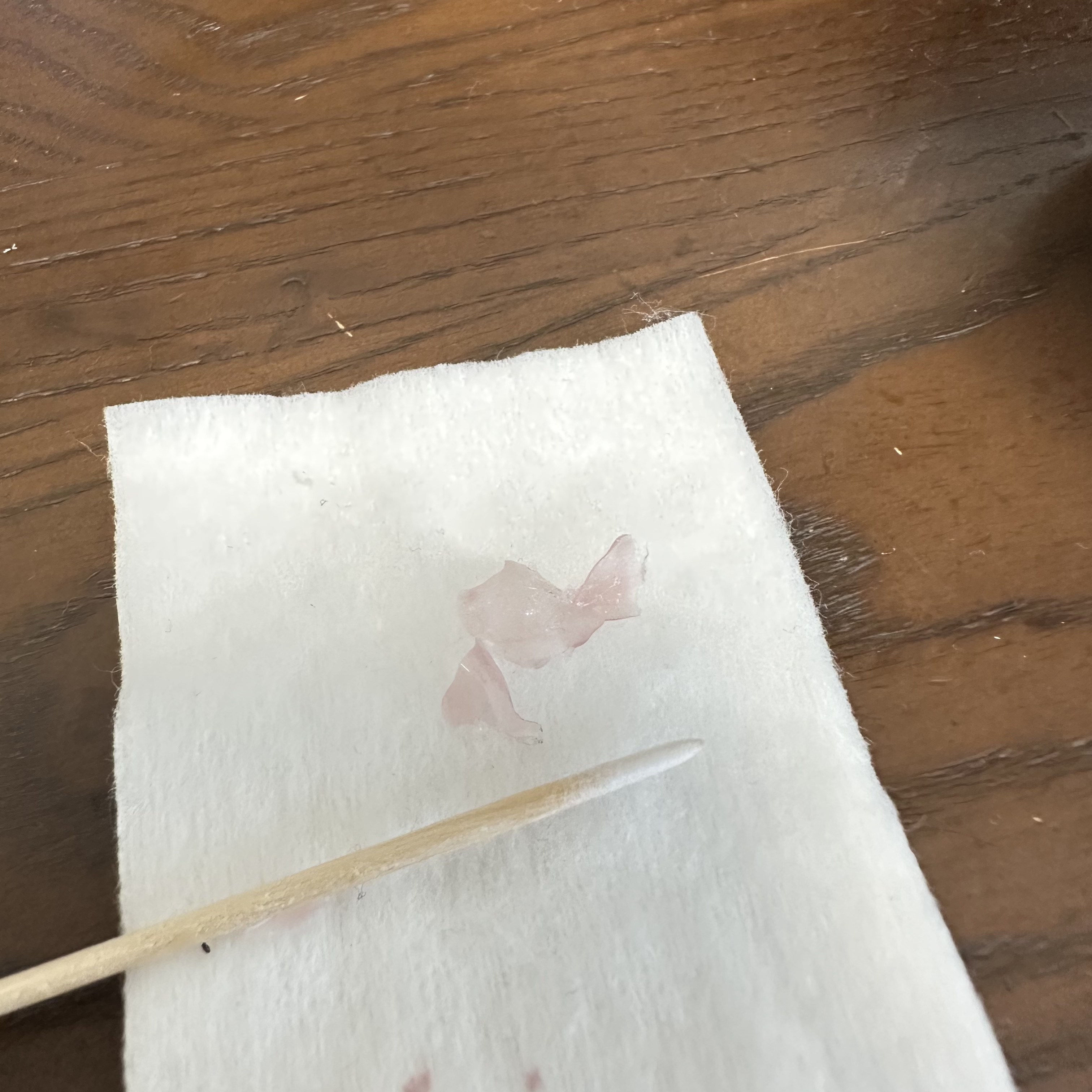 ペロリン/ネイル工房/ジェルネイルを使ったクチコミ（3枚目）