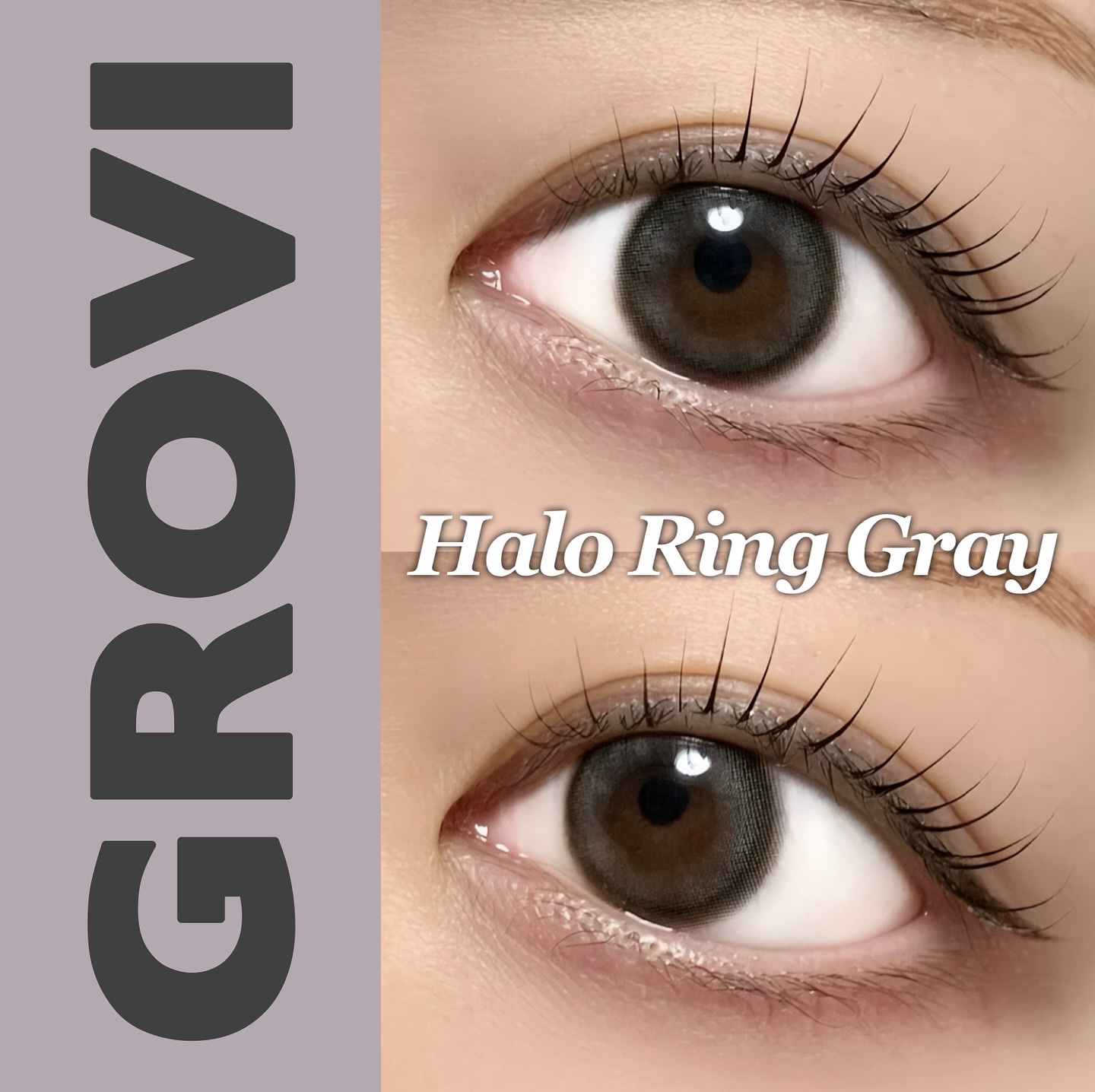 GROVI 1day ヘイローリンググレー/GROVI/ワンデー（１DAY）カラコンを使ったクチコミ（1枚目）