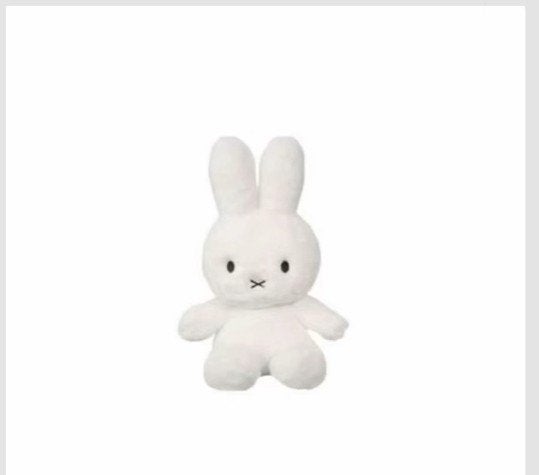 くまポン!🐻🍀フォロバ👍💞 on LIPS 「みなさん!私、、始めて、間もないんですけど目標をたてようかなっ..」(1枚目)