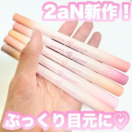 カラープレイデュアルライナー/2aN/スティックアイシャドウを使ったクチコミ(1枚目)