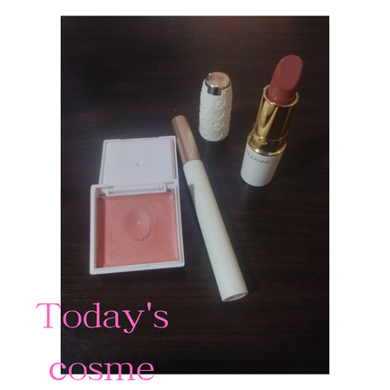 アイデイト ミニマルパレット 01/IDATE/ジェル・クリームアイシャドウを使ったクチコミ(1枚目)