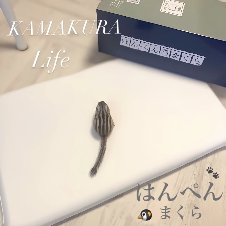 はんぺん枕/鎌倉ライフ/その他を使ったクチコミ（1枚目）