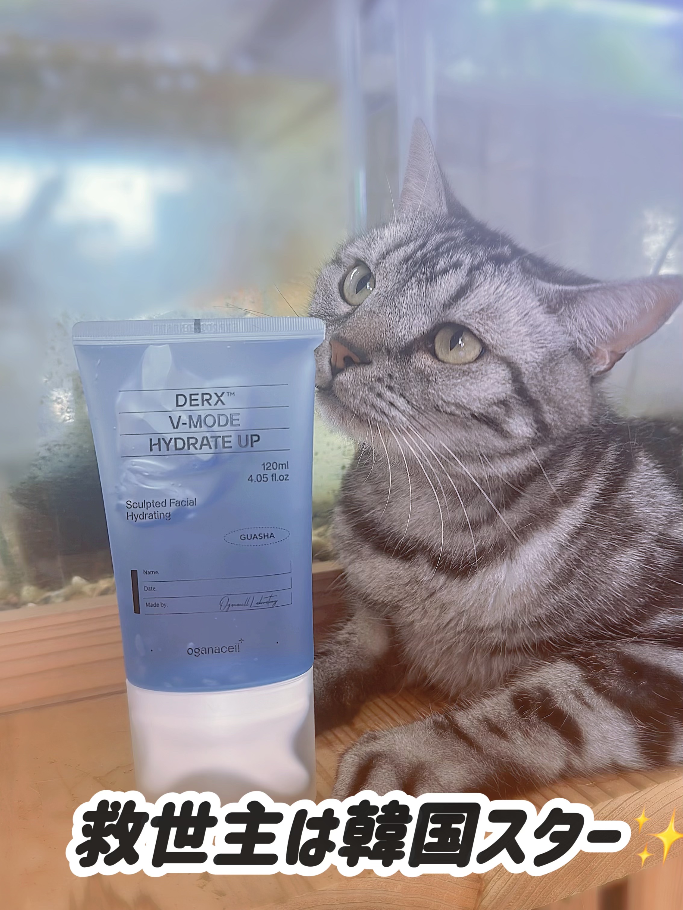 ダーマアールエックス V-MODE ハイドレートアップ/OGANACELL/フェイスクリームを使ったクチコミ（1枚目）