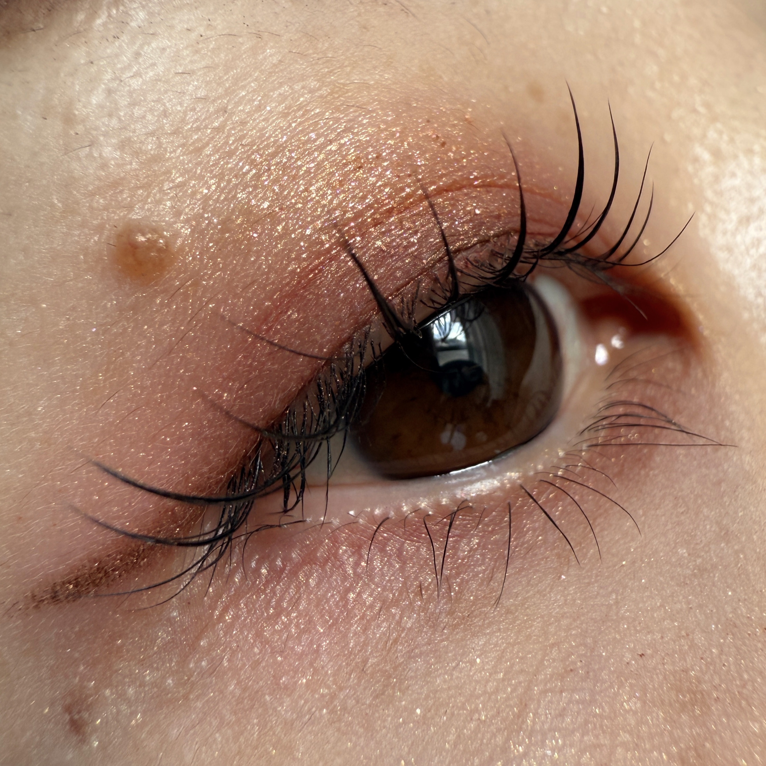 アディクション ザ シングル アイシャドウ ネイキッドシアー/ADDICTION/単色アイシャドウを使ったクチコミ（1枚目）