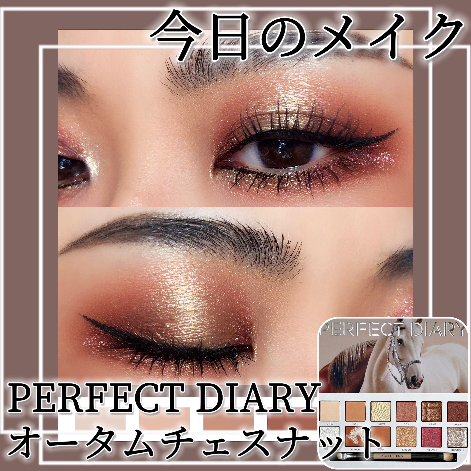 エクスプローラ12色 動物アイシャドウパレット オータムチェスナット/PERFECT DIARY/アイシャドウパレットを使ったクチコミ（1枚目）