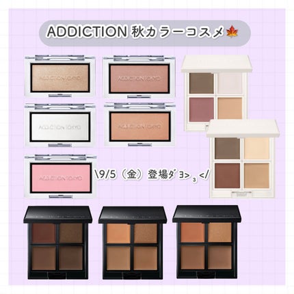 スキンリフレクト フレッシュ コンシーラー/ADDICTION/パレットコンシーラーを使ったクチコミ(1枚目)