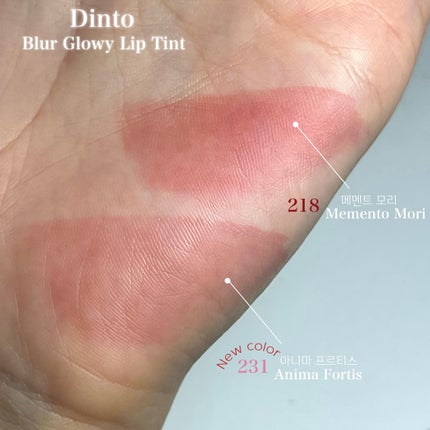 ブラーグロイリップティント 284 メメントモリ/Dinto/リップティントを使ったクチコミ(3枚目)