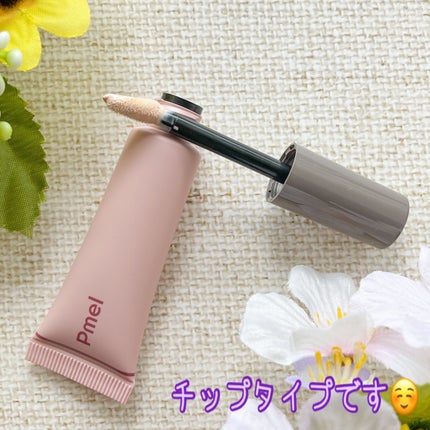 ピメル パーフェクトアイベース/pdc/アイシャドウベースを使ったクチコミ(4枚目)