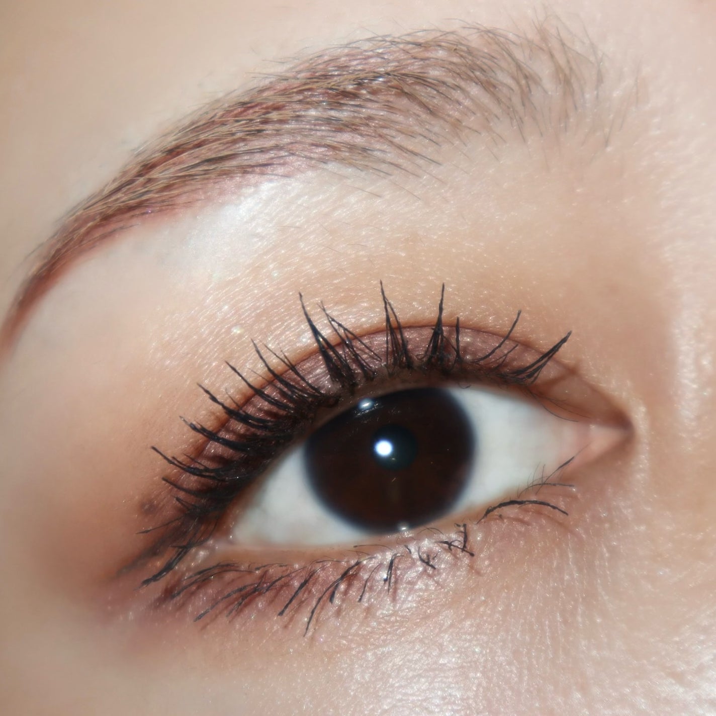 レ キャトル オンブル ブトン/CHANEL/アイシャドウパレットを使ったクチコミ(7枚目)