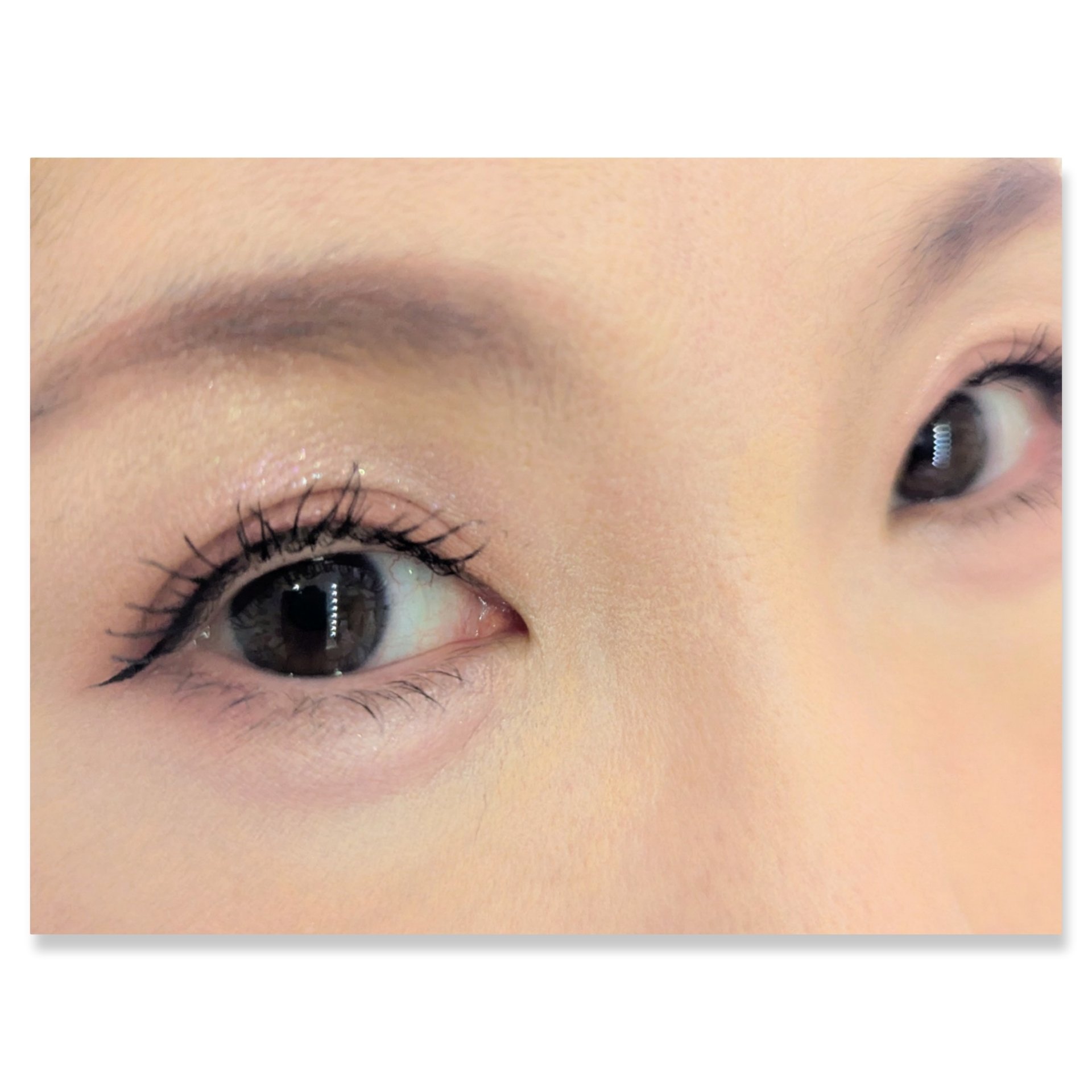 イロミッケ 8色アイシャドウパレット/iromikke/アイシャドウパレットを使ったクチコミ（2枚目）