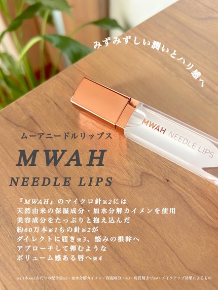 MWAH NEEDLE LIPS/MWAH/リッププランパーを使ったクチコミ(2枚目)