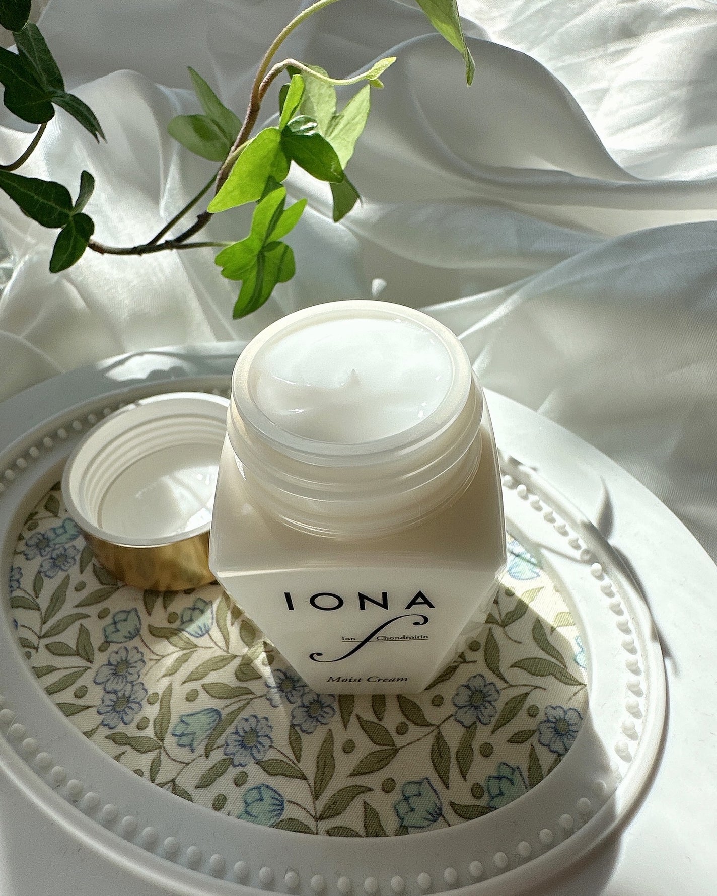 モイスト クリーム/イオナ エフ/フェイスクリームを使ったクチコミ(2枚目)