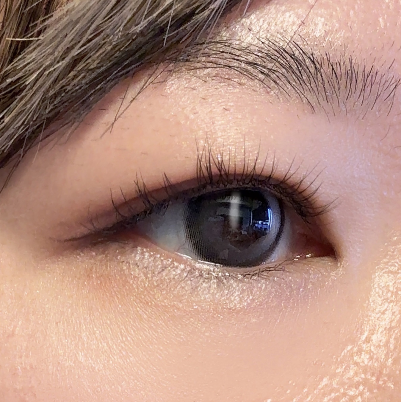 VivienneWestwood 1month/Vivienne Westwood/１ヶ月（１MONTH）カラコンを使ったクチコミ（1枚目）