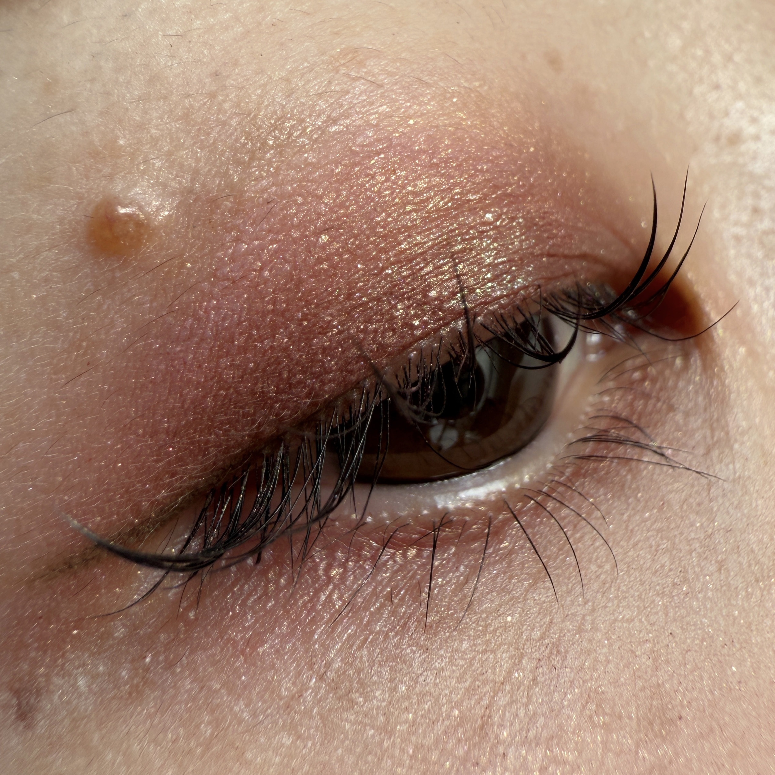 ロングウェア クリーム シャドウ スティック マルチクロム/BOBBI BROWN/スティックアイシャドウを使ったクチコミ（2枚目）