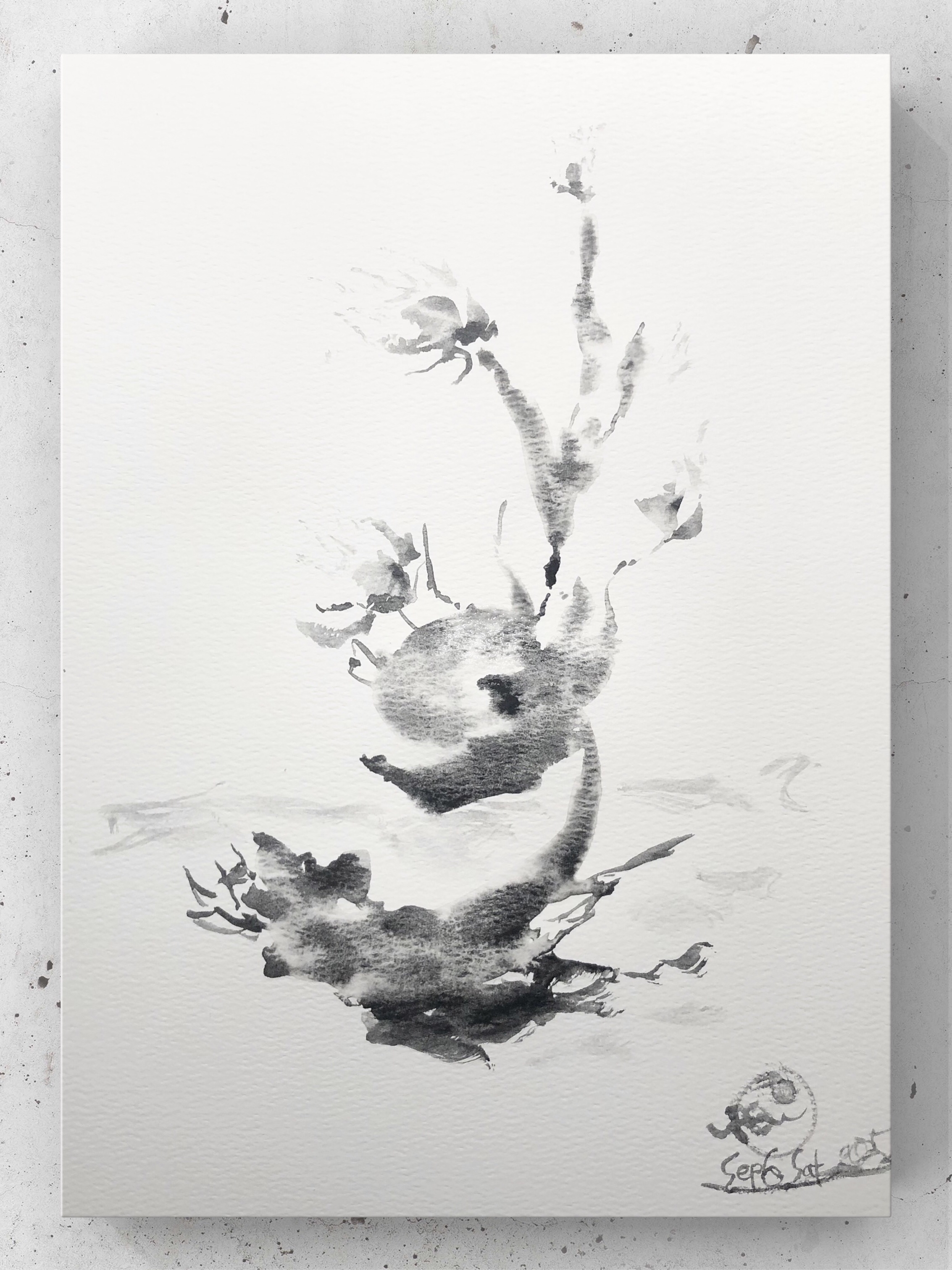 ロールオンフレグランス サルトリースパイス/john masters organics/香水(レディース)を使ったクチコミ（1枚目）