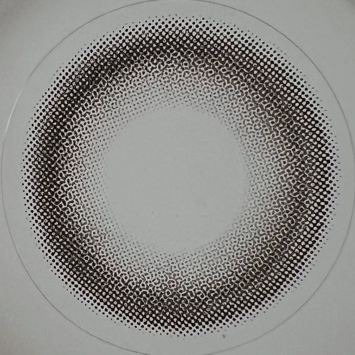 GROVI 1day ヘイローリンググレー/GROVI/ワンデー（１DAY）カラコンを使ったクチコミ（3枚目）