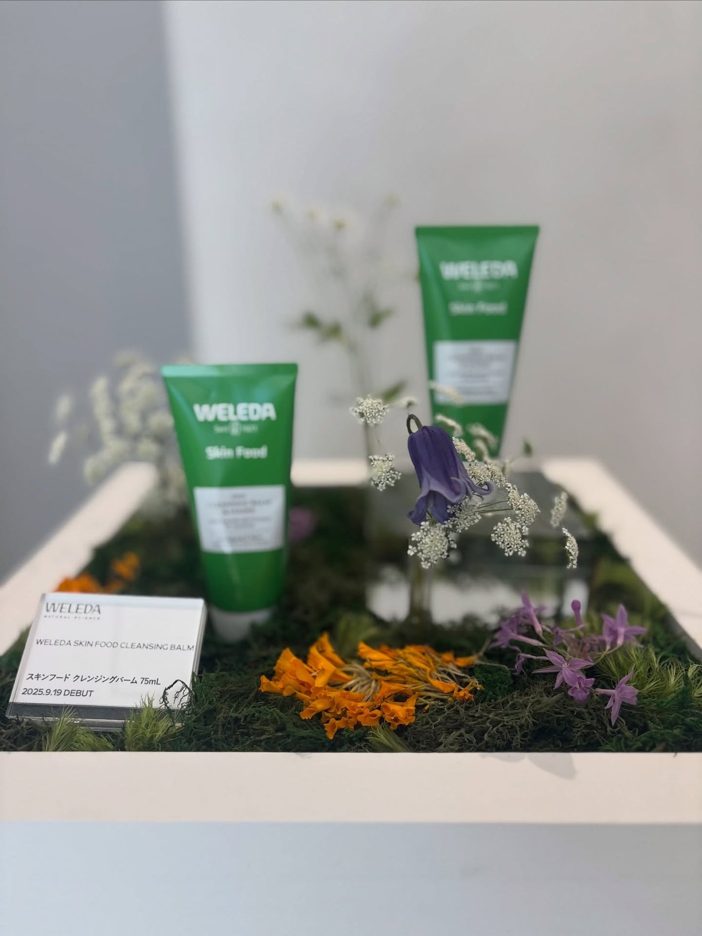 スキンフード /WELEDA/ボディクリームを使ったクチコミ(8枚目)