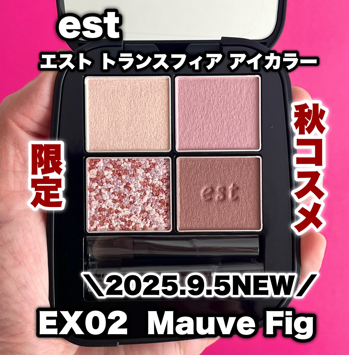 エスト トランスフィア アイカラー/est/アイシャドウパレットを使ったクチコミ(1枚目)