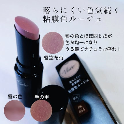 ネンマクフェイク ルージュ/Visée/口紅を使ったクチコミ(3枚目)