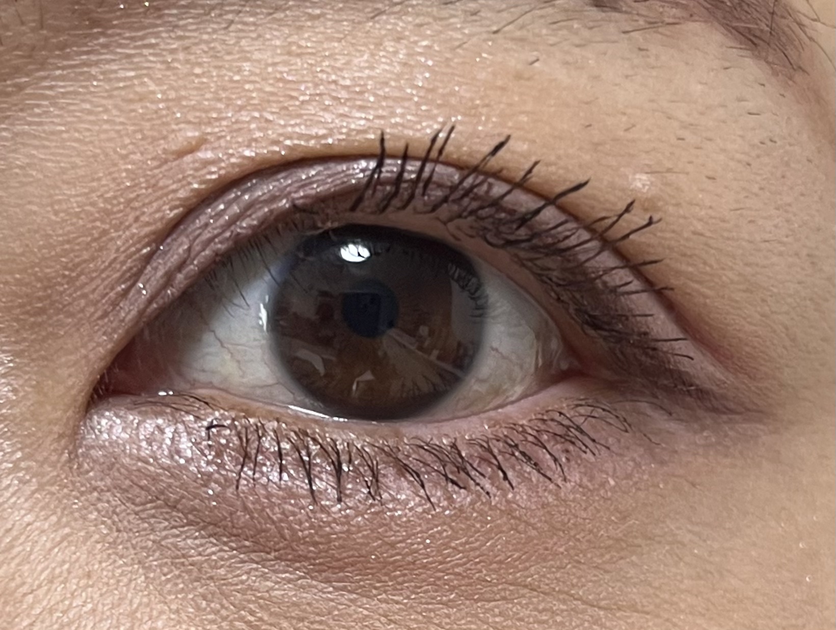 THE アイパレR/b idol/アイシャドウパレットを使ったクチコミ（2枚目）