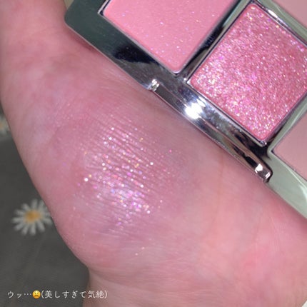 ベターミーアイパレット/2aN/マルチパレットを使ったクチコミ(6枚目)