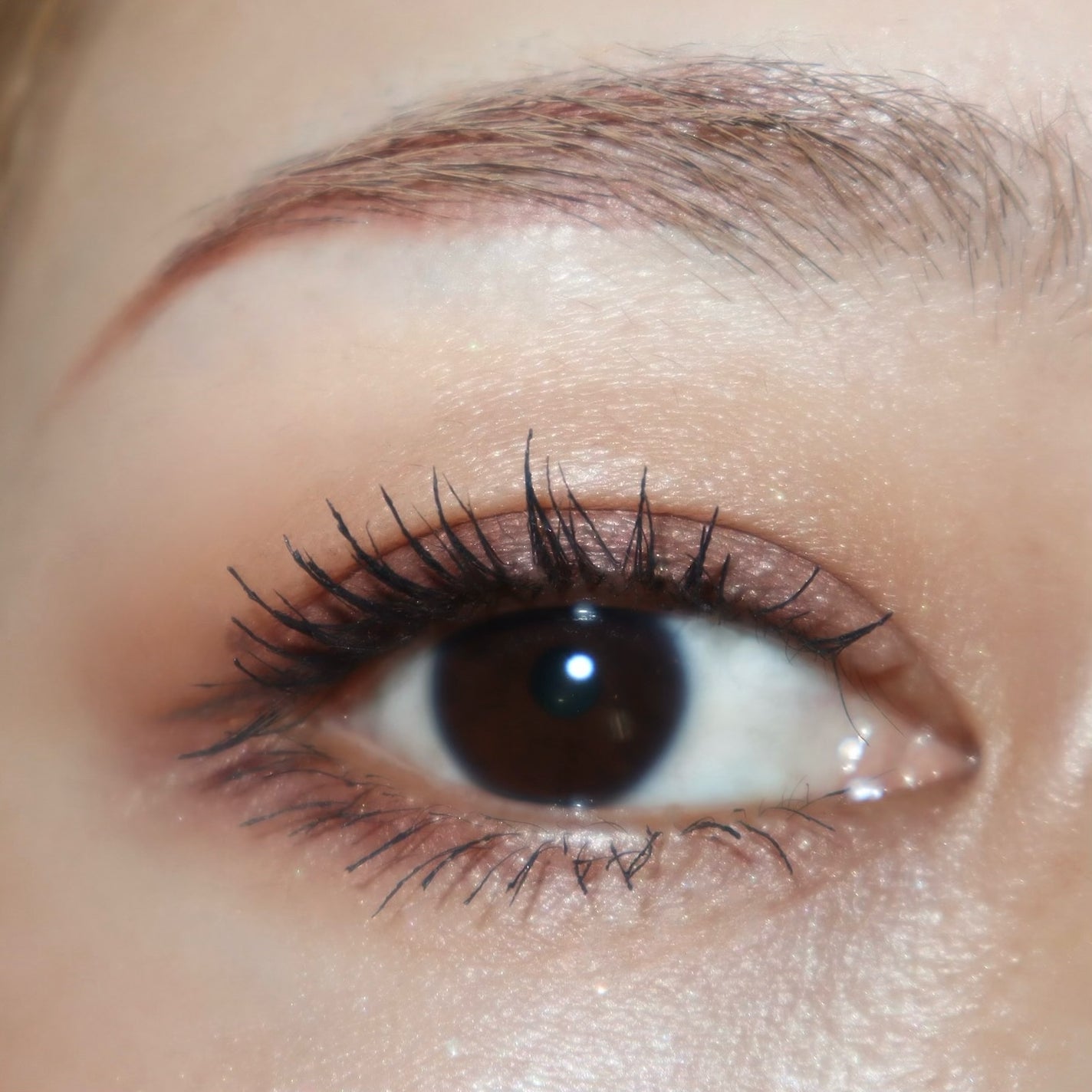 レ キャトル オンブル ブトン/CHANEL/アイシャドウパレットを使ったクチコミ(6枚目)