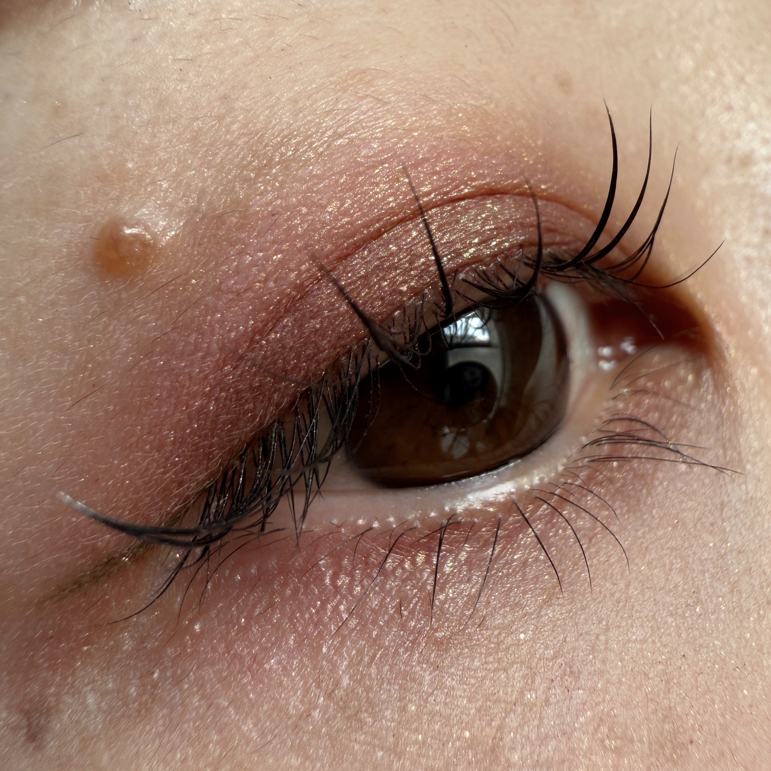 ロングウェア クリーム シャドウ スティック マルチクロム/BOBBI BROWN/スティックアイシャドウを使ったクチコミ（1枚目）