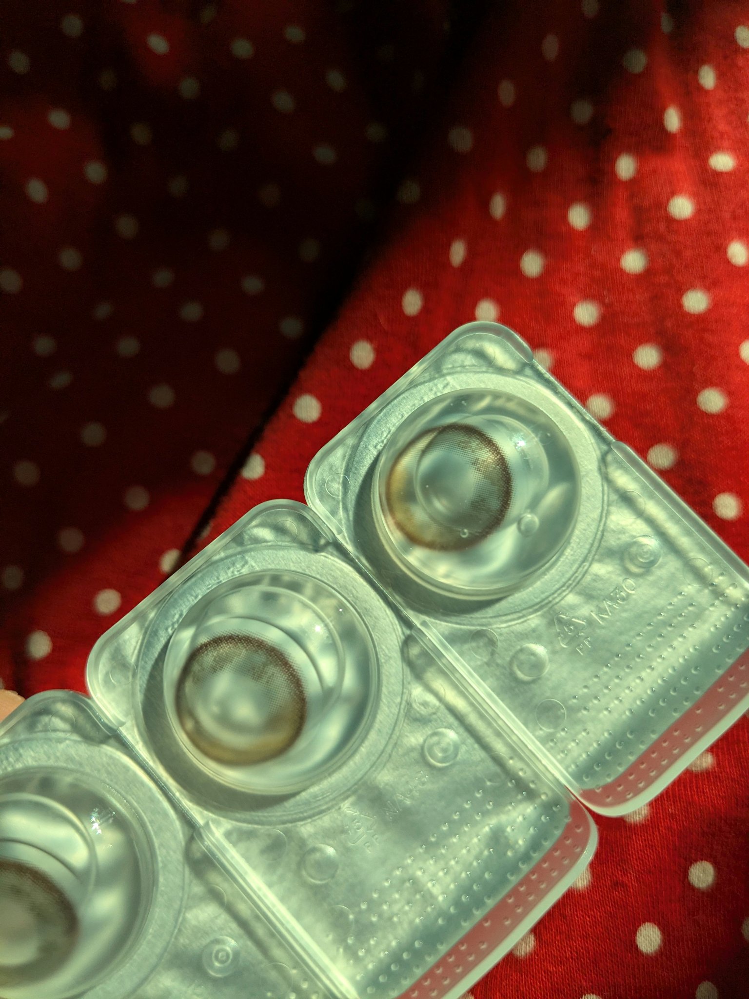 Secretive Kristen/Hapa kristin/カラーコンタクトレンズを使ったクチコミ（3枚目）